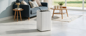 Devola 12L Dehumidifier Review: Fresher, Drier Air at Home