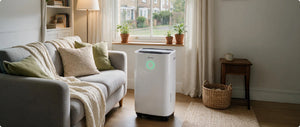 How to Maintain Your Dehumidifier: A Complete Guide to Filter Cleaning