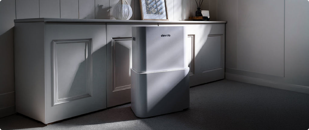 Devola DVHA20L Review: The Hybrid That Handles Damp and Cleaner Air
