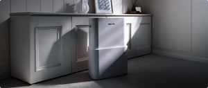 Devola DVHA20L Review: The Hybrid That Handles Damp and Cleaner Air