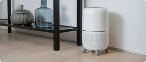 Why Do I Need a Humidifier?