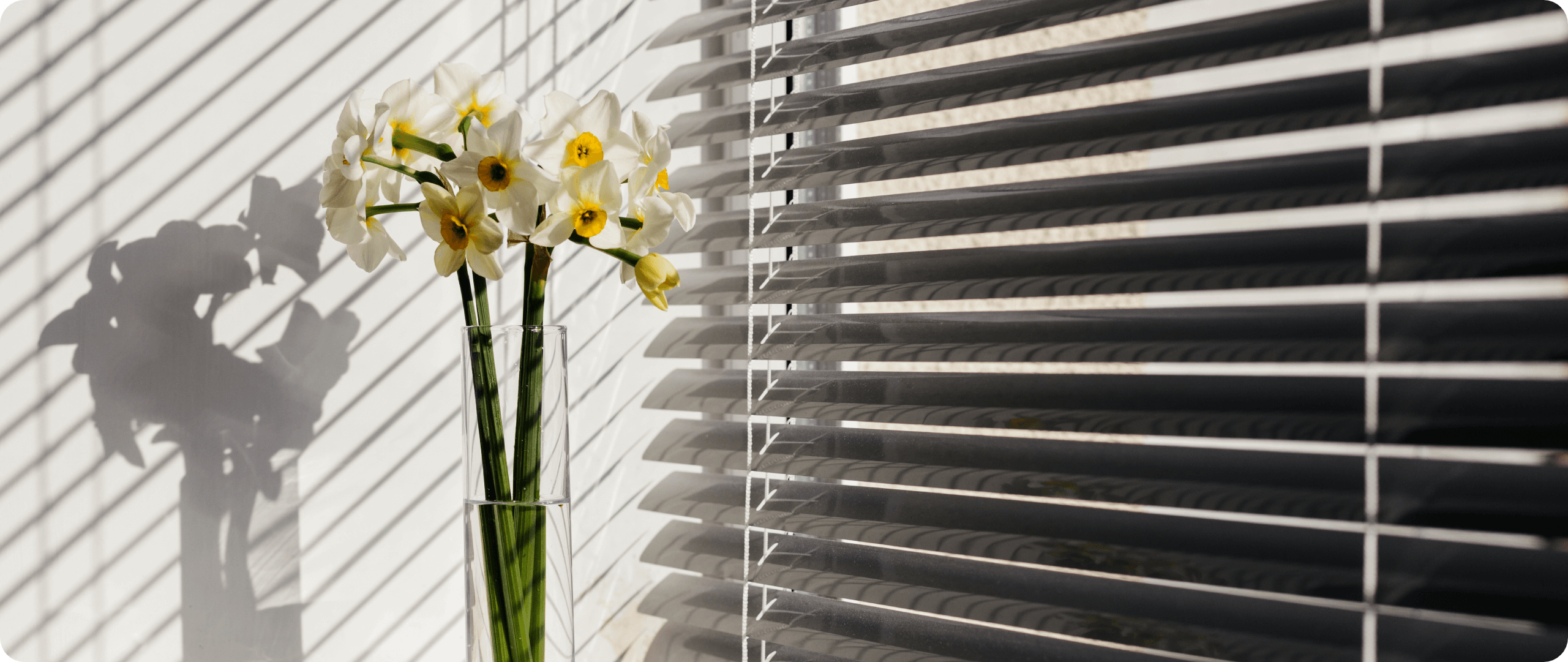 sun beaming through blinds onto flowers