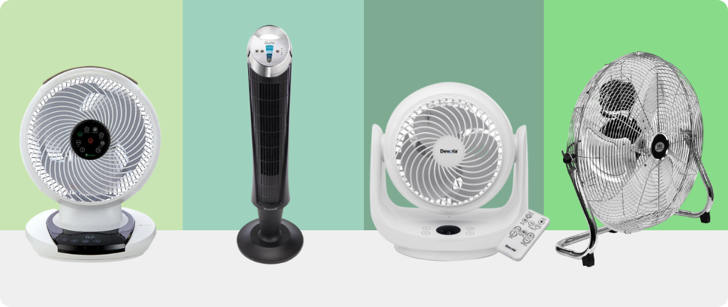 Top 10 Fans