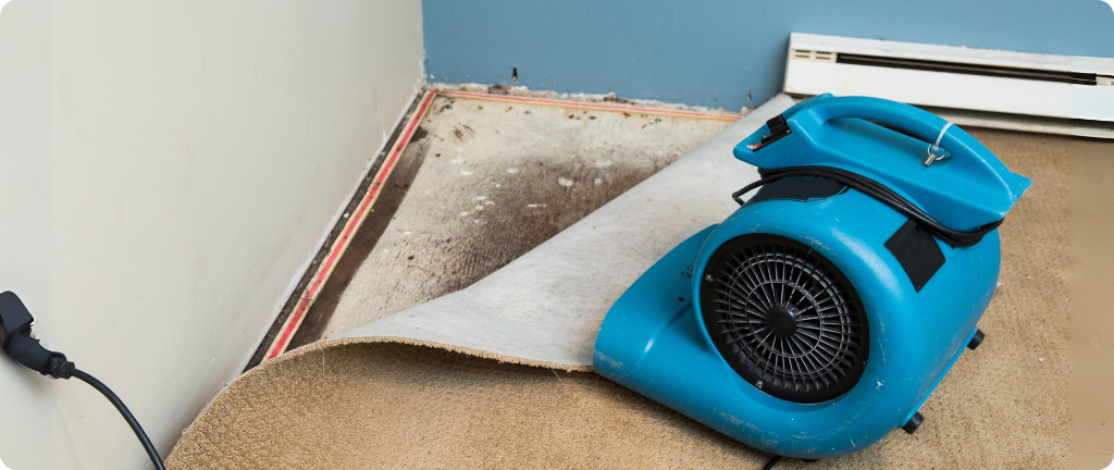 How to Dry Your Home After a Leak or Burst Pipe