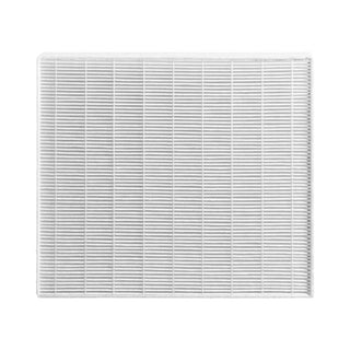 Devola H11 HEPA filter for DVHA Range (DVHA20L) , Pack of 2
